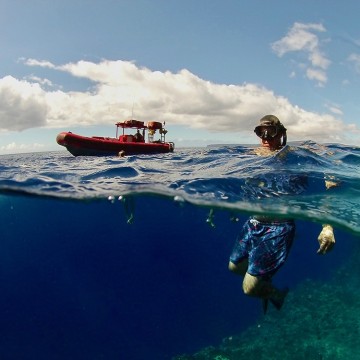 Private snorkeling at Molokini Crater