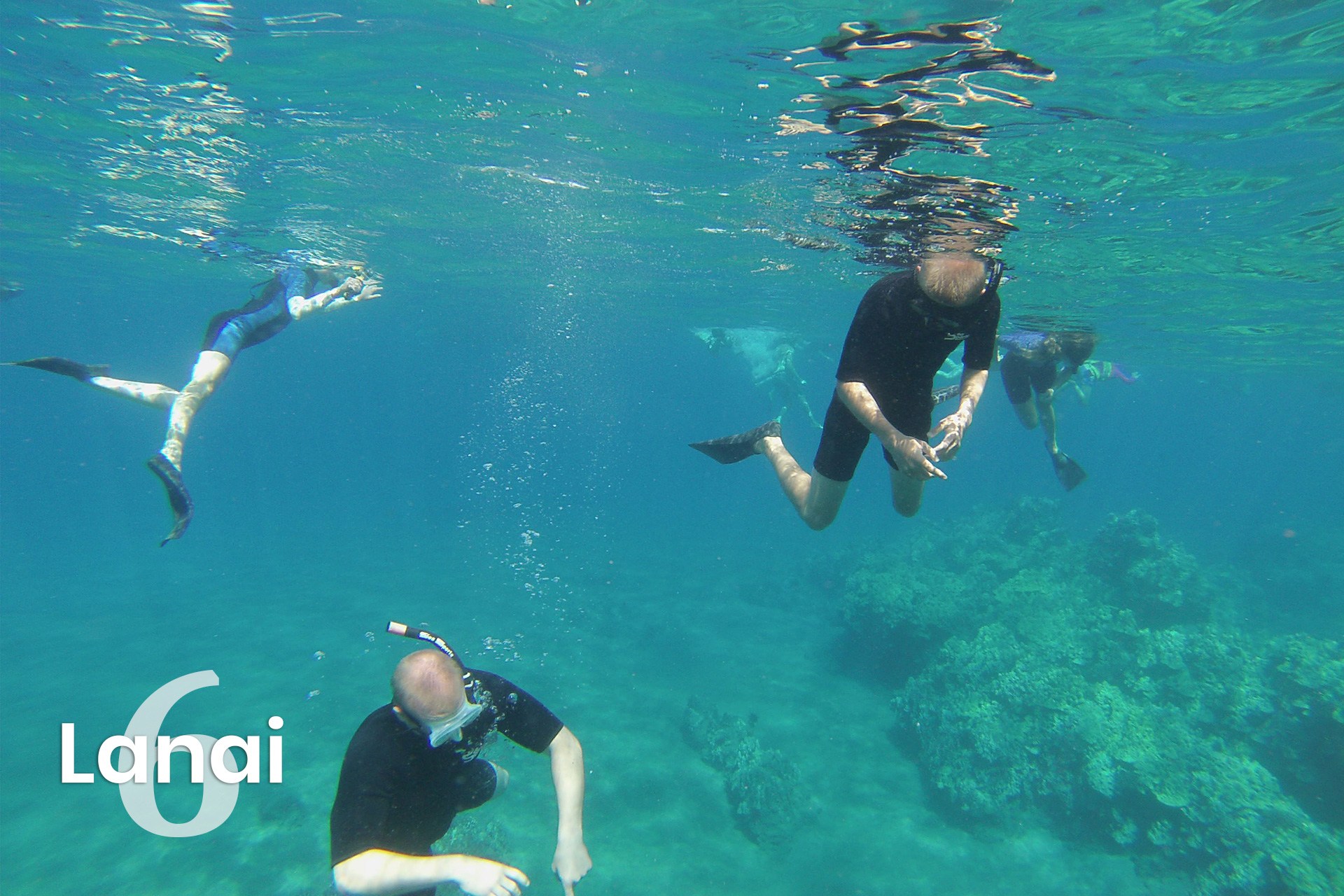 Best Maui Snorkeling Spots Small Group Tours Redline Rafting