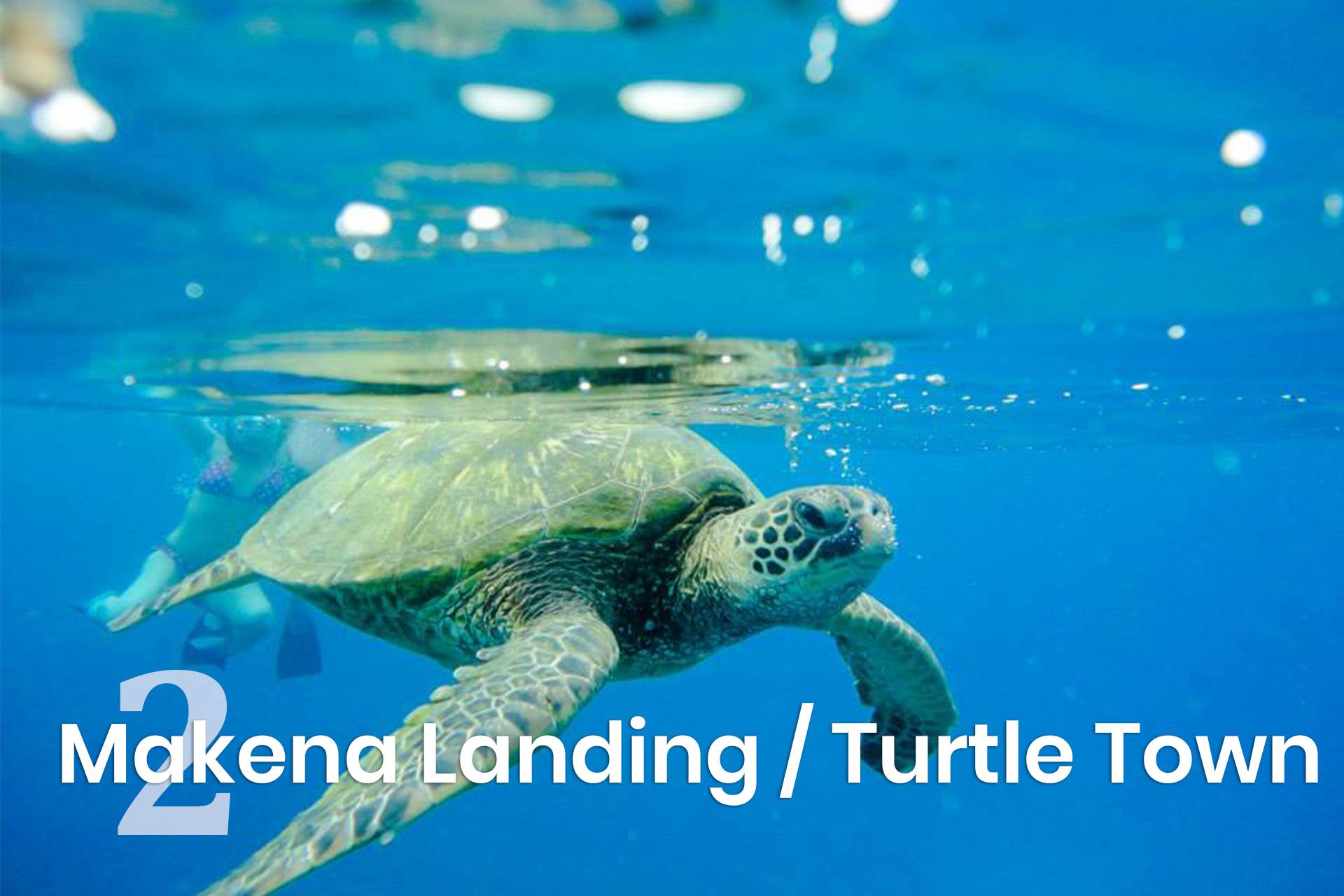 Makena Landing Turtle Town